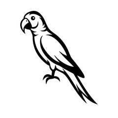 Obraz premium A vibrant cartoon parrot vector illustration shows the wild bird 