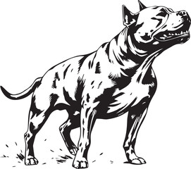 Pitbull terrier. Hand drawn vector illustration