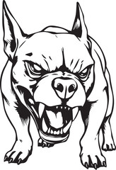 Pitbull terrier. Hand drawn vector illustration