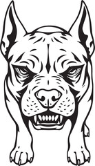 Pitbull terrier. Hand drawn vector illustration