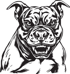 Pitbull terrier. Hand drawn vector illustration