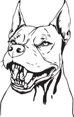 Pitbull terrier. Hand drawn vector illustration