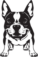 Pitbull terrier. Hand drawn vector illustration