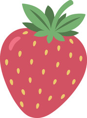 Strawberry fruit vector illustration on white background.