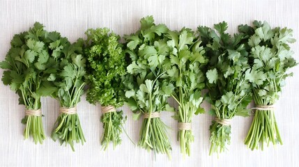 Five bunches of fresh herbs, including cilantro and parsley, are neatly tied and arranged on a light-colored textured surface.