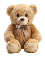 Obraz premium teddy bear isolated on white
