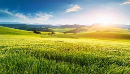 Obraz premium Landscape horizontal blurred field banner