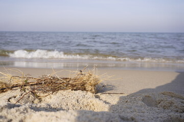plażą, morze, fala widok piasek 