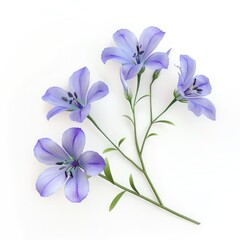 Fototapeta premium Delicate light purple blossoms arranged artistically.