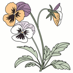 vector illustration of flowers