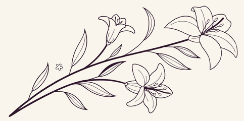 black and white background with flowers