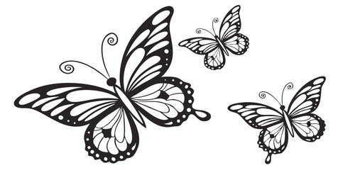 Obraz premium set of black and white butterflies