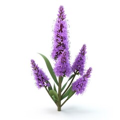 Naklejka premium A cluster of vibrant purple flowers on a plant stem.