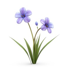 Two delicate, light purple flowers with grassy foliage.