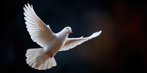 A stunningly captured image of a majestic white dove in mid-flight, symbolizing peace and freedom, with its wings spread wide against a dark, blurred background.