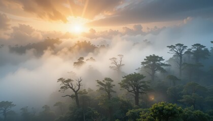 Obraz premium Serene Sunrise Over Misty Forest with Sun Rays and Dramatic Clouds