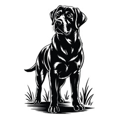 Labrador Retriever Silhouette Standing Dog Vector Illustration