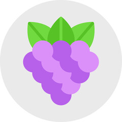 Raspberry single vector icon illustration