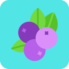 Blueberry single vector icon illustration