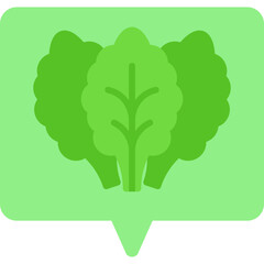 Lettuce single vector icon illustration