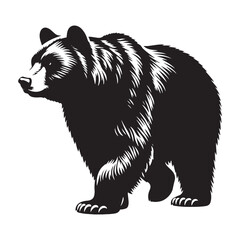 Shadows of the Wilderness: A Bold Collection of American Black Bear Vector Silhouettes Showcasing Strength, Solitude, and the Majestic Spirit of North America’s Forest Guardian