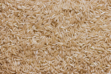 Overhead view of brown rice on white background