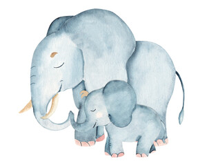 Elephant Family. Baby elephant and his mother or father. Hand drawn Safari illustration of wild animal isolated on a white background. For cards and prints.