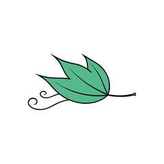 green leaves isolated on white