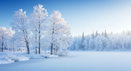 Obraz premium Winter Wonderland Landscape - Serene winter scene with snow-covered trees and a frozen lake under a bright blue sky. Perfect for winter holiday or seasonal themes