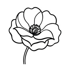 Simple Outlined Poppy Flower Design Featuring Elegant Curved Petals And Delicate Stamen On A White Background