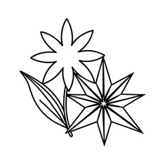 Black And White Outlined Floral Illustration Featuring Star Anise And Leaf Designs Simple And Elegant