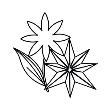 black line art star anise flowers clip art preview