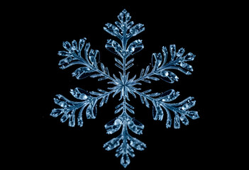 snowflake is shown on a black background