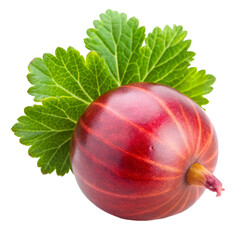 red currant isolated on white