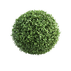 Naklejka premium A lush, vibrant sphere of meticulously trimmed leaves, a perfect symbol of nature's artistry and meticulous growth against a clean white background.