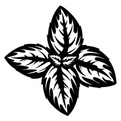 Black and White Basil Leaves Illustration, a culinary herb of flavor