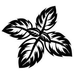 A bold black and white image of a basil plant silhouette