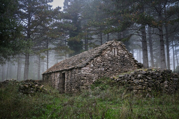 abandoned, centuries-old quarrystone dwelling in the mountains of southern france on a misty autumn day