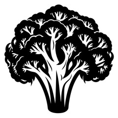 Monochrome Illustration of a Broccoli Head with Intricate Detailing and Contrast