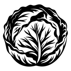Monochrome Cabbage Head Graphic Representation of a Cruciferous Vegetable