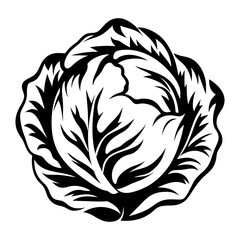 Monochrome Cabbage Illustration with Intricate Leaf Pattern and Bold Outlines
