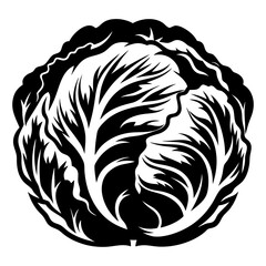 Monochrome drawing showcasing a head of cabbage with intricately detailed leaves