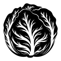 Obraz premium Striking black and white illustration of a cabbage head vegetable design