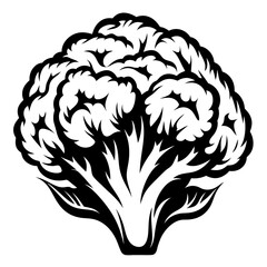 Stylized Monochrome Illustration of Broccoli Head with Intricate Details and Bold Outline