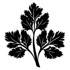 Obraz premium Stylized monochrome illustration of cilantro or parsley leaves on white background