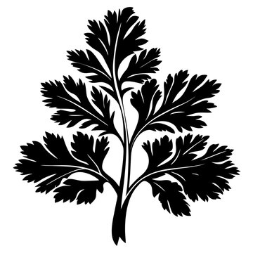 black parsley leaf silhouette on white clip art preview