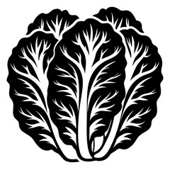 Obraz premium Stylized monochrome vector illustration of a leafy vegetable plant head