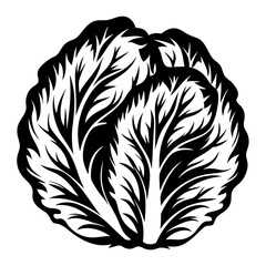 Obraz premium Black and white abstract representation of a head of iceberg lettuce