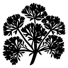 Stylized black silhouette of an umbel flower with unique branching structure