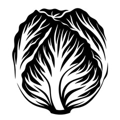Stylized Monochrome Image of a Cabbage Head with Intricate Leaf Patterns